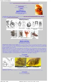 Open PDF Printout of This File