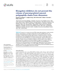 Elongation Inhibitors Do Not Prevent the Release Of