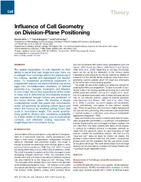 Influence of Cell Geometry on Division-Plane Positioning