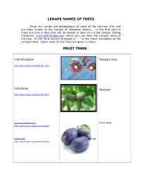 Lenape Names of Trees Fruit Trees