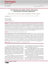 Download PDF (Inglês)