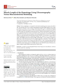 Muscle Length of the Hamstrings Using Ultrasonography Versus Musculoskeletal Modelling