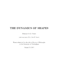 The Dynamics of Shapes
