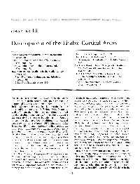 Limbic Areas Have Been Quantitatively Stud­ Tex: an Outer Layer of Small Granular Type Cells, An