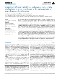 And Copper Homeostatic Mechanisms in Brain Contributes to the Pathogenesis of Neurodegenerative Disorders