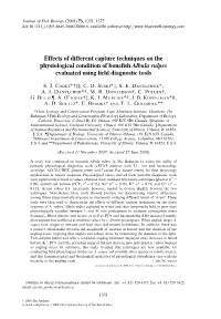 Effects of Different Capture Techniques on the Physiological Condition of Boneﬁsh Albula Vulpes Evaluated Using ﬁeld Diagnostic Tools