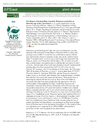 First Report of Soybean Rust Caused by Phakopsora Pachyrhizi on Phaseolus Spp
