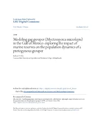 Modeling Gag Grouper (Mycteroperca Microlepis