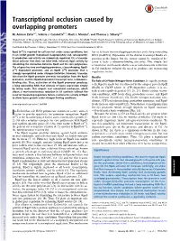 Transcriptional Occlusion Caused by Overlapping Promoters