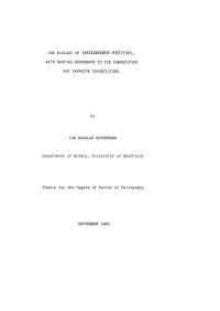 With Special Reference to Its Competitive And