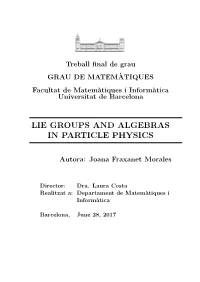 Lie Groups and Algebras in Particle Physics