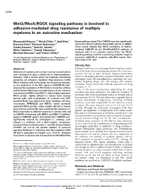 Wnt3/Rhoa/ROCK Signaling Pathway Is Involved in Adhesion-Mediated Drug Resistance of Multiple Myeloma in an Autocrine Mechanism