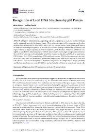 Recognition of Local DNA Structures by P53 Protein