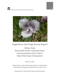 2019 Vegetation Survey Report