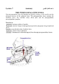 Lecture 7 Anatomy the PTERYGOPALATINE FOSSA
