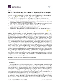 Small Non-Coding Rnaome of Ageing Chondrocytes
