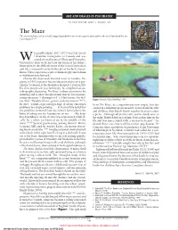The Maze the Inverted [Burr] Is I As a Child, Trapped Painfully Between Two Aspects of My Father, the One I Hated and the One I Worshipped.1(P4)