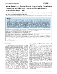 Noise Genetics: Inferring Protein Function by Correlating Phenotype with Protein Levels and Localization in Individual Human Cells
