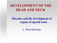 Olfactory Epithelium: Development of the Nose Olfactory Epithelium: Development of the Nose