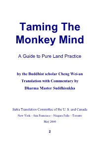 Taming the Monkey Mind