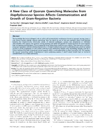 A New Class of Quorum Quenching Molecules from Staphylococcus Species Affects Communication and Growth of Gram-Negative Bacteria