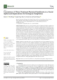 Coexistence of Three Dominant Bacterial Symbionts in a Social Aphid and Implications for Ecological Adaptation