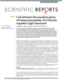 Link Between the Causative Genes of Holoprosencephaly: Zic2 Directly