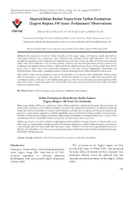 Maastrichtian Rudist Fauna from Tarbur Formation (Zagros Region, SW Iran): Preliminary Observations