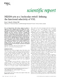 NEDD8 Acts As a 'Molecular Switch' Defining the Functional Selectivity Of
