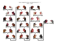The Cosmopolitan Chicken Project (Ccp) 1999 — 2016