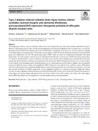 Type 2 Diabetes Induced Oxidative Brain Injury Involves Altered Cerebellar Neuronal Integrity and Elemental Distribution, and Ex