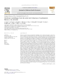 Vertebrate Assemblages from the Early Late Cretaceous of Southeastern Morocco: an Overview
