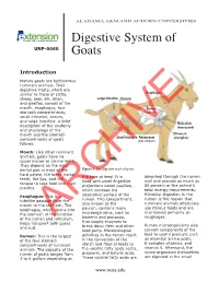 Digestive System of Goats 3 References