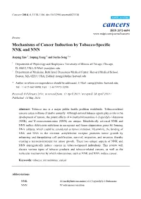 Mechanisms of Cancer Induction by Tobacco-Specific NNK and NNN