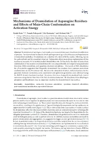 Mechanisms of Deamidation of Asparagine Residues and Effects Of