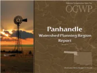 Watershed Planning Region Report: Panhandle