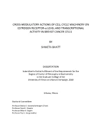 Cross-Modulatory Actions of Cell Cycle Machinery on Estrogen Receptor-Α Level and Transcriptional Activity in Breast Cancer Cells