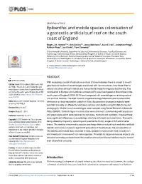 Epibenthic and Mobile Species Colonisation of a Geotextile Artificial Surf Reef on the South Coast of England