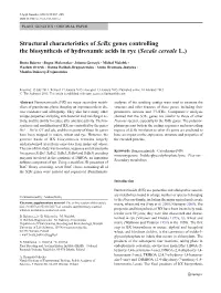 Structural Characteristics of Scbx Genes Controlling the Biosynthesis of Hydroxamic Acids in Rye (Secale Cereale L.)
