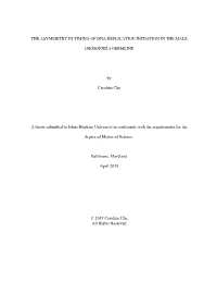 The Asymmetry in Timing of Dna Replication Initiation in the Male