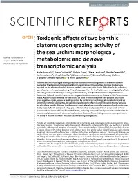 Toxigenic Effects of Two Benthic Diatoms Upon Grazing