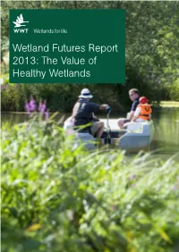 Valuing Wetlands