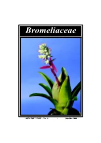 Aechmea Caudata
