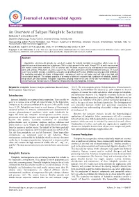 An Overview of Saltpan Halophilic Bacterium