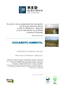 Documento Ambiental