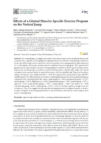Effects of a Gluteal Muscles Specific Exercise Program on the Vertical