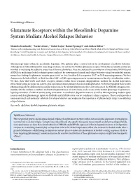 Glutamate Receptors Within the Mesolimbic Dopamine System Mediate Alcohol Relapse Behavior