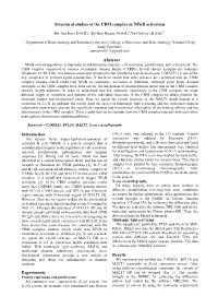Preparation of Papers in a Two-Column Format for the 21St