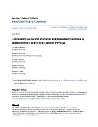 Reevaluating Î±E-Catenin Monomer and Homodimer Functions By
