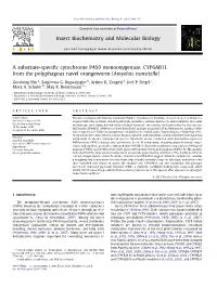A Substrate-Specific Cytochrome P450 Monooxygenase